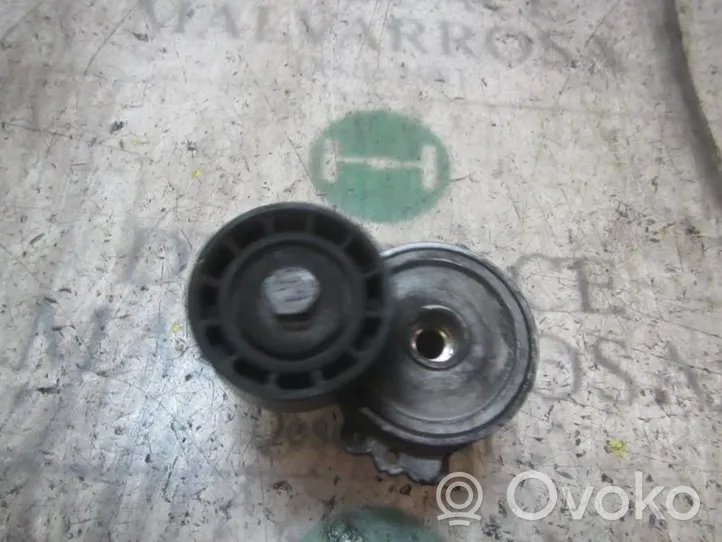 Citroen Berlingo Tendicinghia generatore/alternatore 