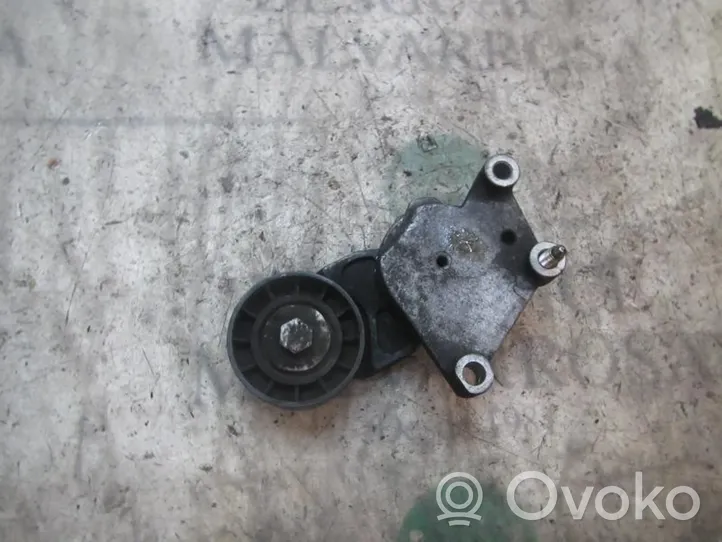 Citroen C3 Pluriel Tendicinghia generatore/alternatore 