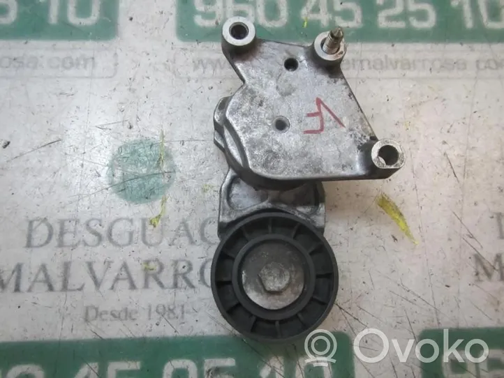 Citroen C3 Pluriel Tendicinghia generatore/alternatore 