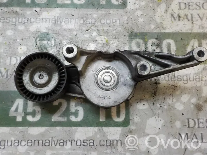 Volkswagen Passat Alltrack Napinacz paska alternatora 03G903315C