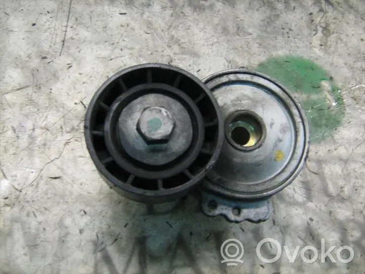 Peugeot 307 Napinacz paska alternatora 