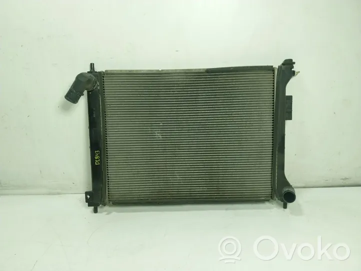 Hyundai i20 (PB PBT) Радиатор охлаждающей жидкости 