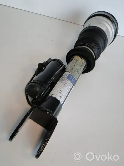 Mercedes-Benz S W220 Front air suspension shock absorber A2203202238