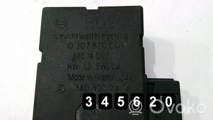 Mercedes-Benz S W140 Sterownik / Moduł ECU 0307870001