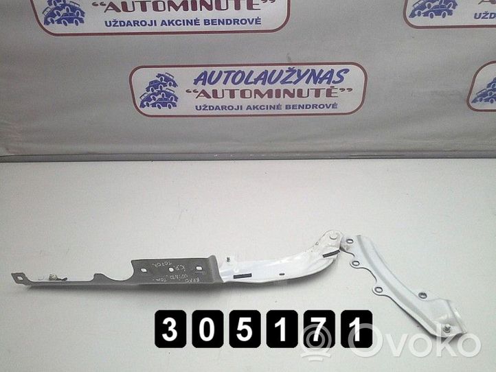 Renault Wind Engine bonnet/hood hinges 844010024R