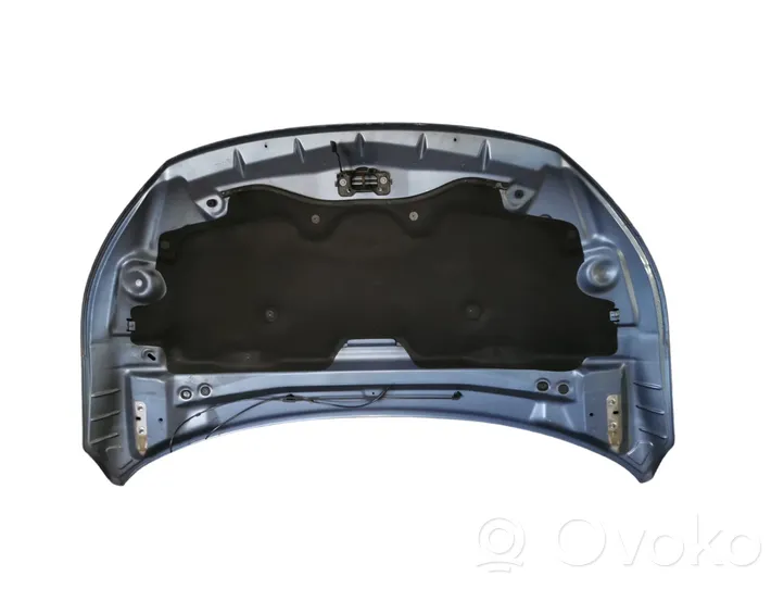 Volkswagen Routan Engine bonnet/hood 5109695AE