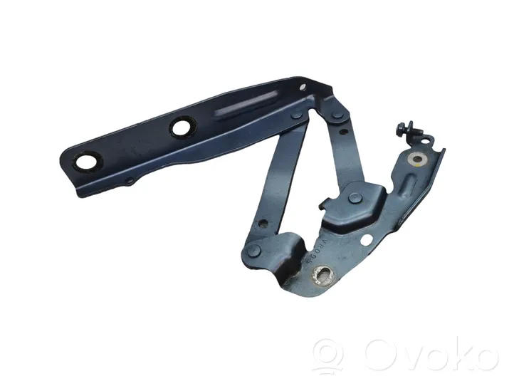 Volkswagen Routan Engine bonnet/hood hinges 