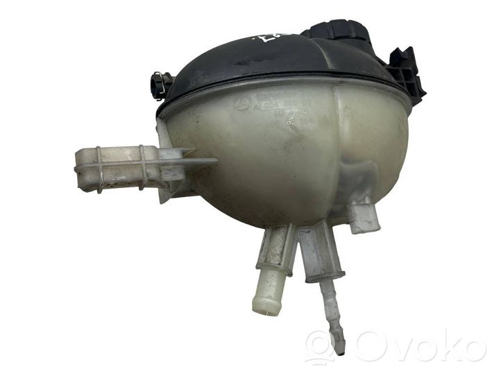 Mercedes-Benz E AMG W212 Coolant expansion tank/reservoir A2045000549