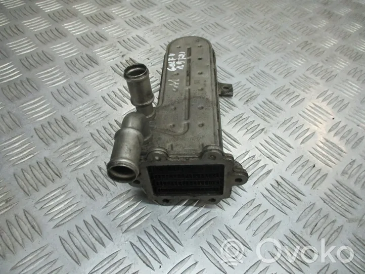 Volkswagen Golf V Valvola di raffreddamento EGR 038131513D