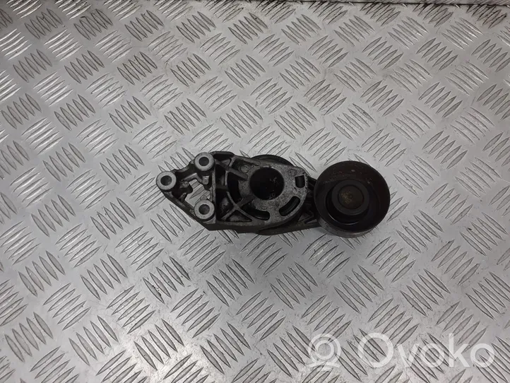 Volkswagen Fox Koło pasowe napinacza paska alternatora 045903315A