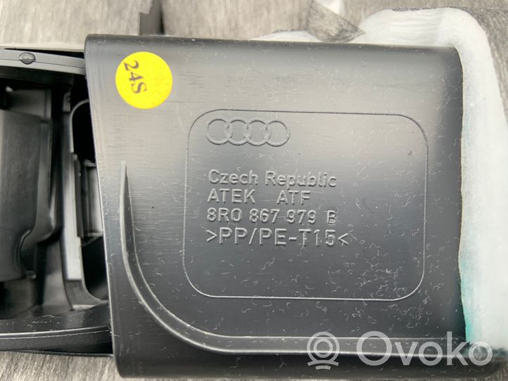 Audi Q5 SQ5 Apdaila galinio dangčio 8R0867979B