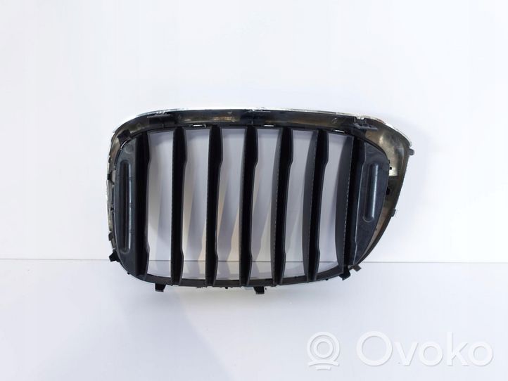 BMW X3 G01 Griglia anteriore 8091726