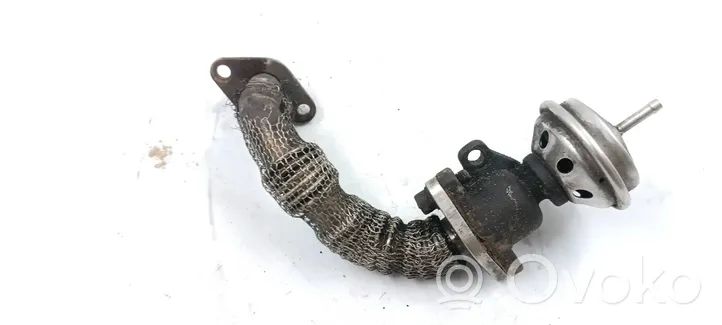 Volkswagen PASSAT B5.5 EGR valve 028131501E