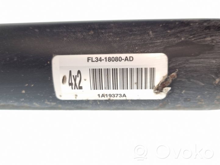 Ford F150 Задний aмортизатор FL3418080AD