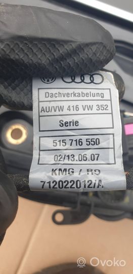 Audi Q5 SQ5 Szyberdach / Komplet 515716550