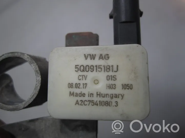 Volkswagen PASSAT B8 Cavo negativo messa a terra (batteria) 5Q0915181J