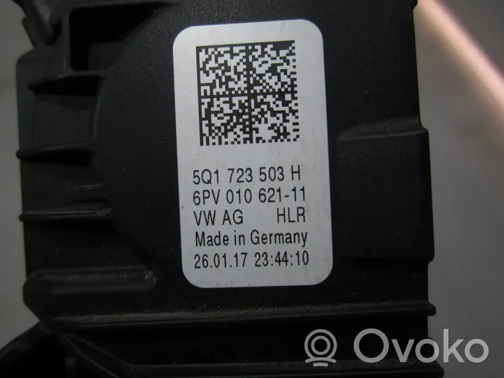 Volkswagen PASSAT B8 Akceleratoriaus pedalas 5Q1723503H