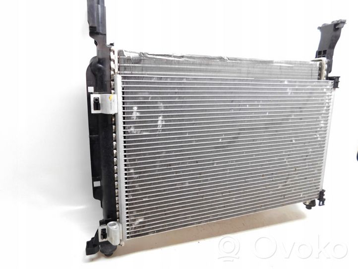 Renault Kangoo II Kit Radiateur 820041832