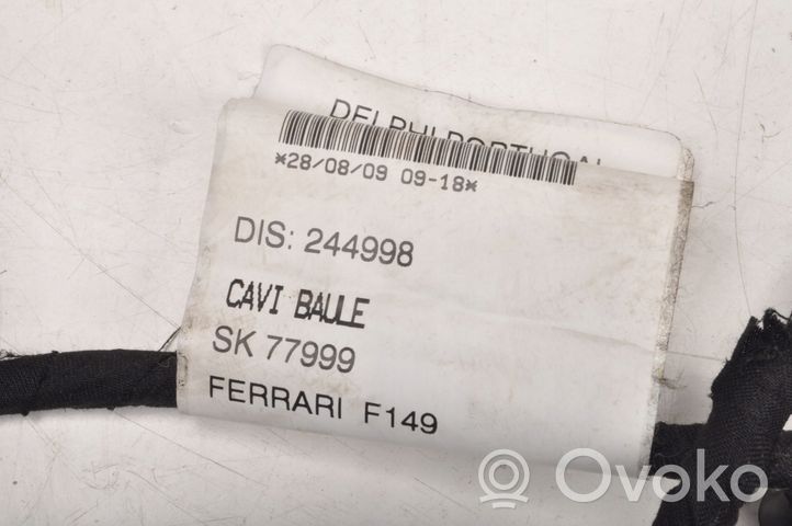 Ferrari California F149 Inna wiązka przewodów / kabli 244998