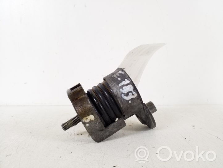 BMW 3 E46 Timing belt/chain tensioner 11287524267