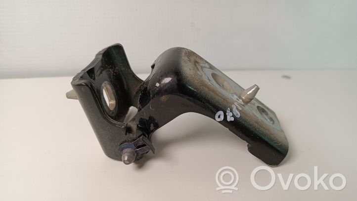 Citroen DS4 Rear door lower hinge 