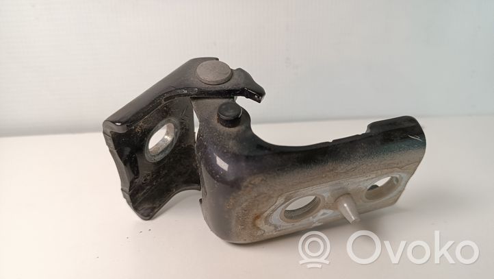 Citroen DS4 Rear door lower hinge 