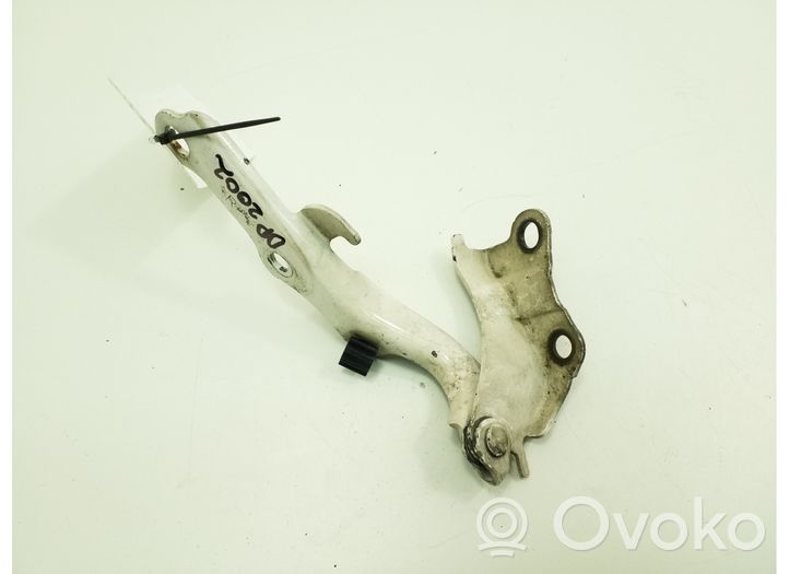 Toyota Land Cruiser (J120) Engine bonnet/hood hinges 