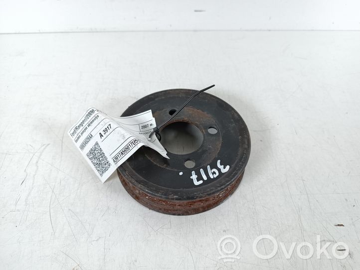 Ford Ranger Vandens pompos skriemulys F69E8A528AA