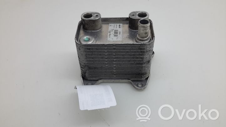 Mercedes-Benz ML W163 Mocowanie / uchwyt filtra oleju A6131880101