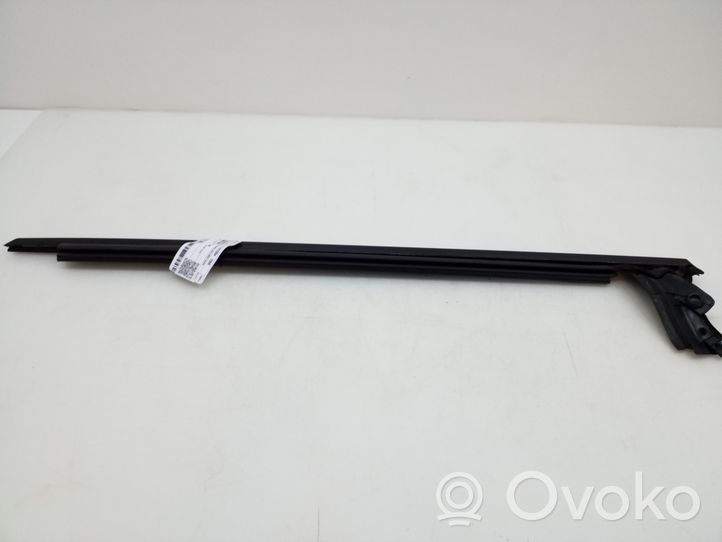 Mercedes-Benz CLS C219 Rivestimento portiera posteriore (modanatura) A2196900480