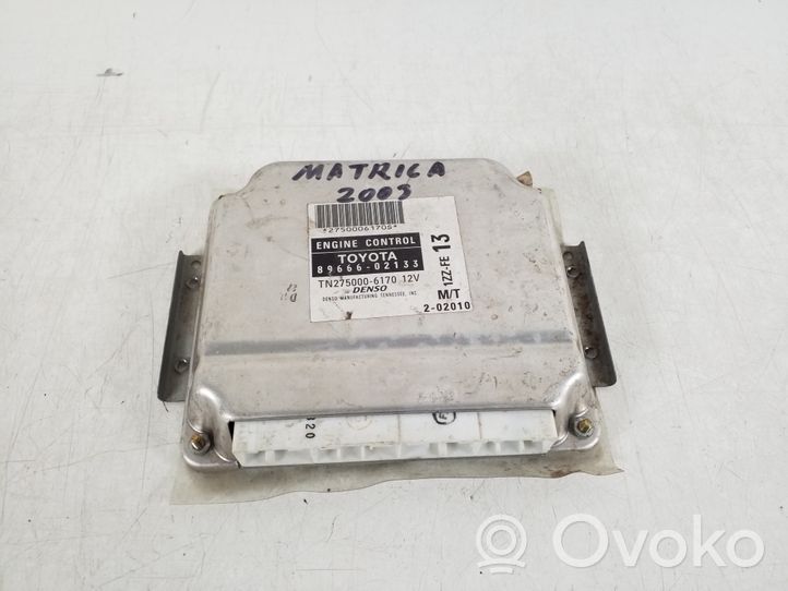 Toyota Matrix (E130) Sterownik / Moduł ECU 89666-02133