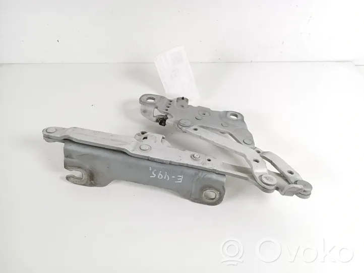 BMW 3 F30 F35 F31 Cerniere del vano motore/cofano 7239416