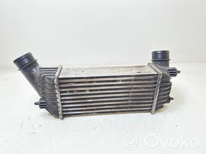 Peugeot Expert Starpdzesētāja radiators 