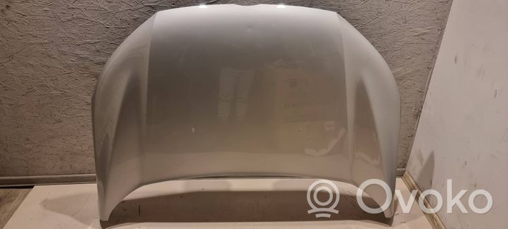 Ford Ecosport Pokrywa przednia / Maska silnika CN1516K689AB