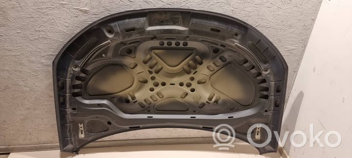 Volkswagen Eos Pokrywa przednia / Maska silnika 1Q0823155