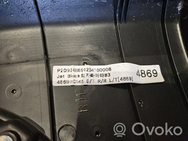 Opel Antara Rear door card panel trim 209248691