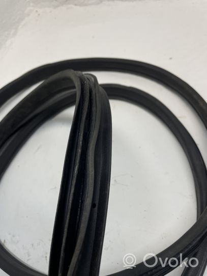 Ford S-MAX Front door rubber seal 