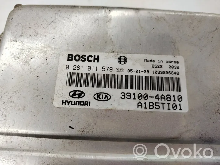 KIA Sorento Sterownik / Moduł ECU 391004A810