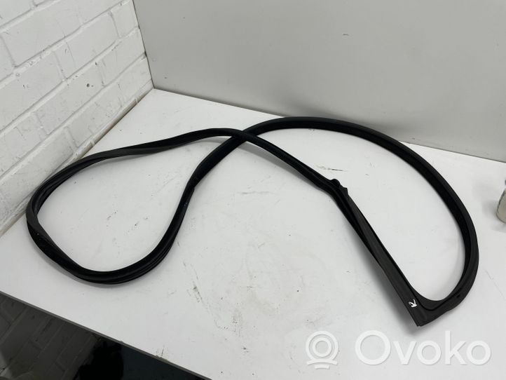 BMW 4 F32 F33 Rubber seal front coupe door window 7279741