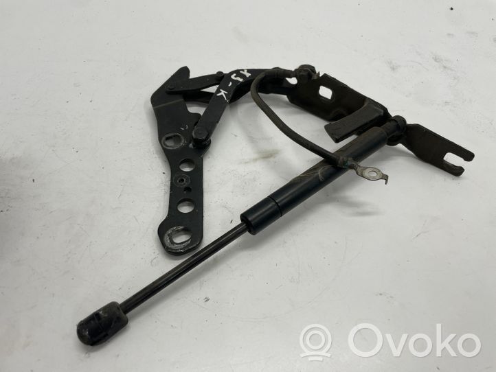 BMW X3 E83 Cerniere del vano motore/cofano 3411447