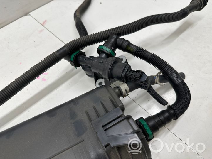 Toyota RAV 4 (XA50) Aktyvios anglies (degalų garų) filtras 