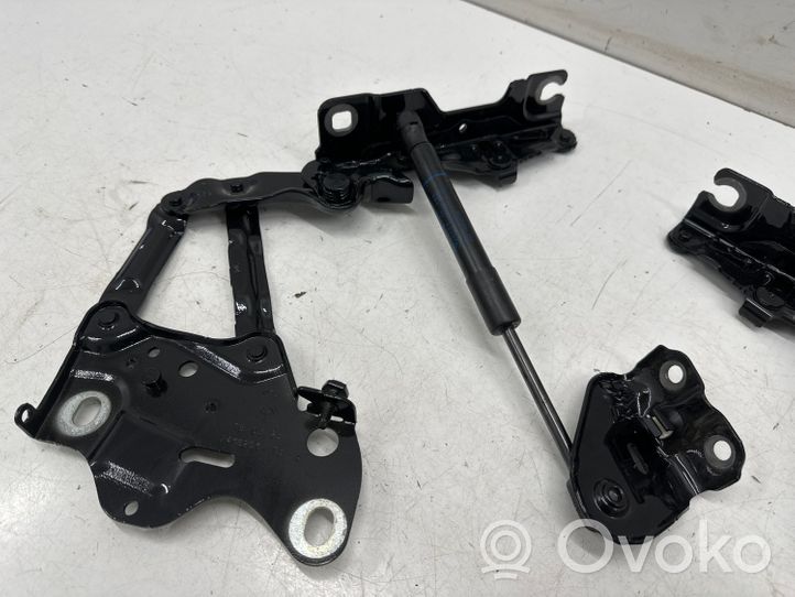 BMW X7 G07 Engine bonnet/hood hinges 7418201