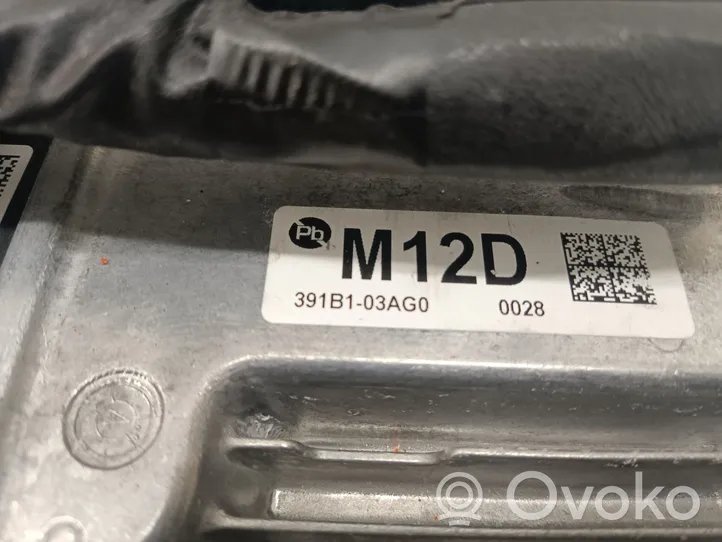 Hyundai Kona I Calculateur moteur ECU 391B103AG0