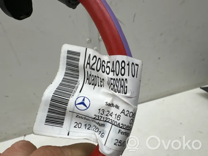 Mercedes-Benz C W206 Câble de batterie positif A2065408107