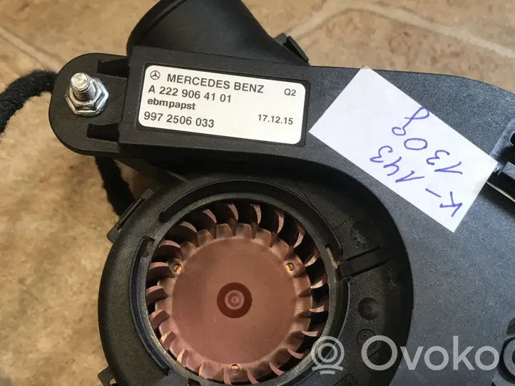 Mercedes-Benz S C217 Module d'unité de commande de ventilateur A2229064101