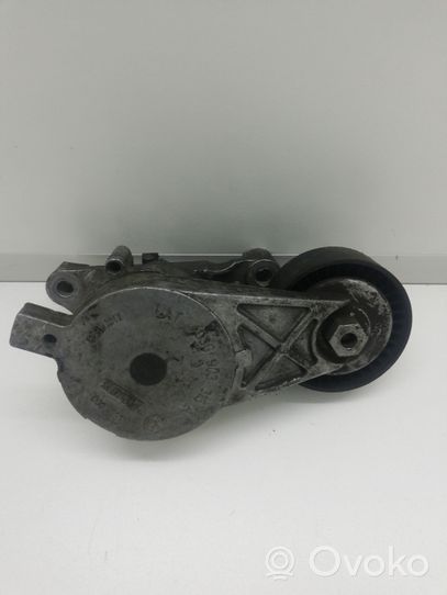 Volkswagen Touran I Napinacz paska wielorowkowego / Alternatora 03G903315