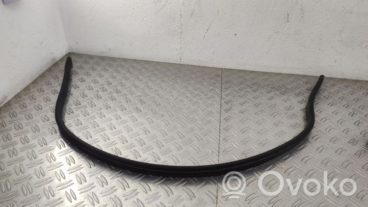 Volkswagen PASSAT B8 Engine compartment rubber 3G0823723