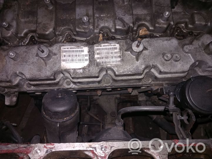 SsangYong Rexton Moottori 66592522501939