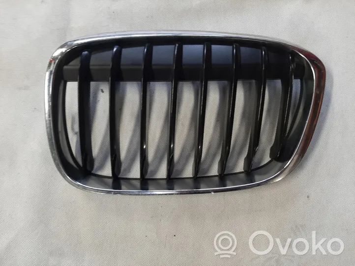 BMW X1 F48 F49 Front bumper upper radiator grill 7383363