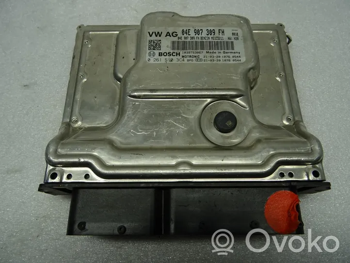 Skoda Fabia Mk3 (NJ) Komputer / Sterownik ECU silnika 04E907309FH